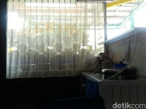 Misteri Asal Muasal Ular Sanca 4 Meter yang Acak-acak RM Padang Misteri Asal Muasal Ular Sanca 4 Meter yang Acak-acak RM Padang