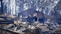Foto: Dipicu Petir, Begini Parahnya Kebakaran Hutan Australia
