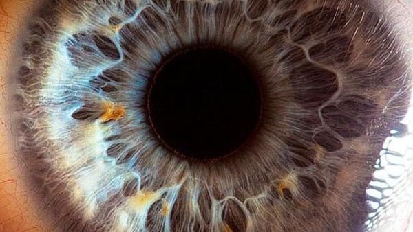 Mata Manusia dari Jarak Super Dekat, Keren atau Seram?