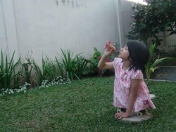 Viral Surat Bocah Difabel di Riau Minta Kursi Roda ke Jokowi