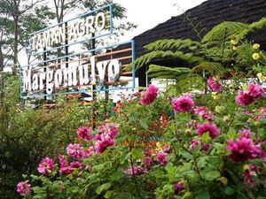 Wow, Kediri Punya Kebun Bunga Secantik Ini