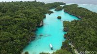 Foto Drone: Raja Ampat Ala Maluku
