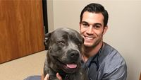 Ladies! Intip Potret Olahraga Evan Antin, Dokter Hewan yang Super Seksi