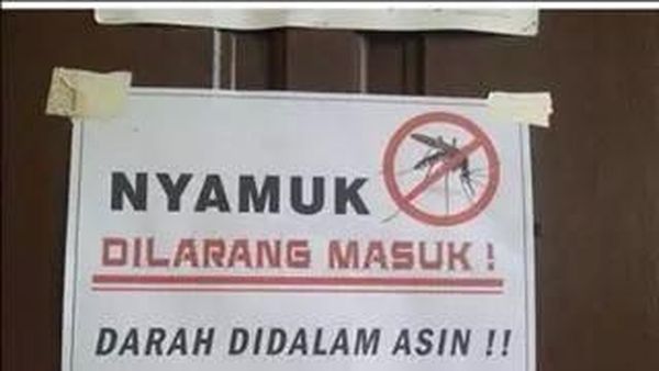 10 Meme yang Gambarkan Seberapa Ngeselinnya Nyamuk