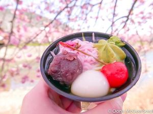 Serba Pink! Aneka Camilan di Jepang Ini Terinspirasi Bunga Sakura