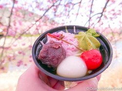 Serba Pink! Aneka Camilan di Jepang Ini Terinspirasi Bunga Sakura