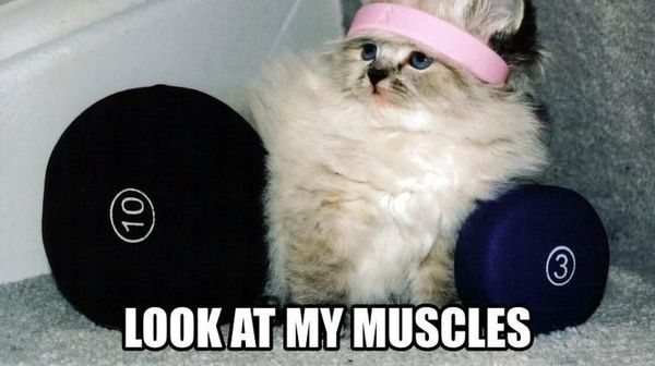 10 Meme Ini Bisa Jadi Kamu Saat Kurang Motivasi Olahraga