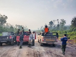 Menghilang Usai Ditembak, Harimau Bonita Kebal Bius?