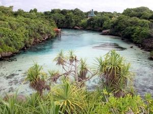 Dibuat Jatuh Cinta Sumba Barat Daya