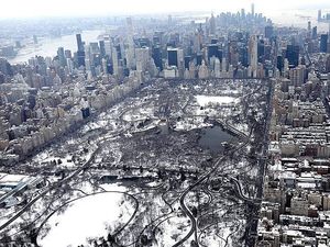Melihat Central Park di New York yang Tertutup Salju dari Atas