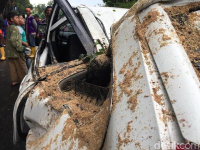 Penampakan Mobil yang Ringsek Ditimpa Pohon Tumbang di Jatinegara