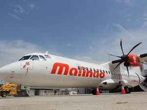Sanksi Tegas Menanti Pramugari Malindo Air yang Selundupkan Narkoba di Bra