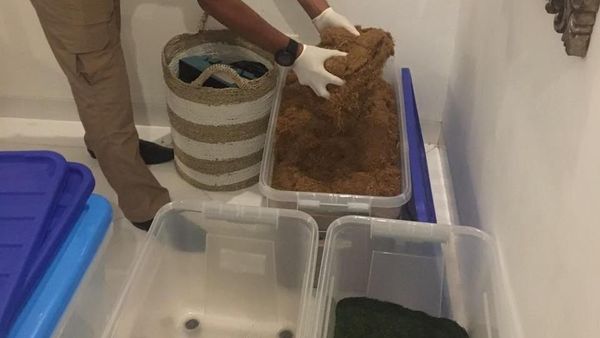 Foto: Home Industry Ganja Sintetis Omzet Rp 3 M Digerebek