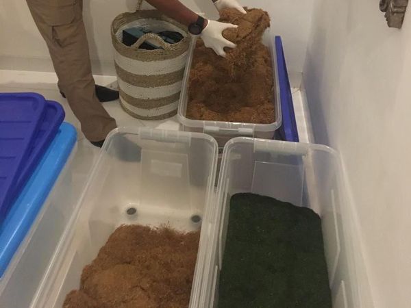 Foto: Home Industry Ganja Sintetis Omzet Rp 3 M Digerebek