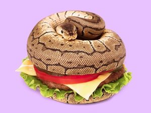 Wouw! Sushi Cat hingga Sandal Salmon, Food Art yang Kreatif dan Keren Banget!