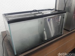 LIPI Tawarkan Nanobubble untuk Cegah Pencemaran Air di Jakarta