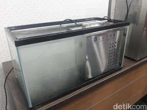 LIPI Tawarkan Nanobubble untuk Cegah Pencemaran Air di Jakarta LIPI Tawarkan Nanobubble untuk Cegah Pencemaran Air di Jakarta