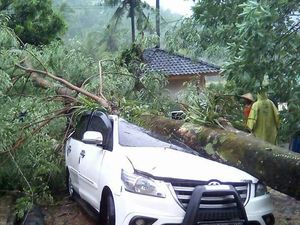 Mobil Ini Ringsek Setelah Tertimpa Pohon Besar