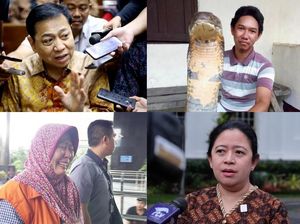 Berita Heboh: King Cobra Raksasa Hingga Kesaksian Novanto di e-KTP