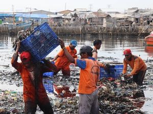 Pembersihan Teluk Jakarta Capai 90%, 110 Ton Sampah Diangkut Pembersihan Teluk Jakarta Capai 90%, 110 Ton Sampah Diangkut