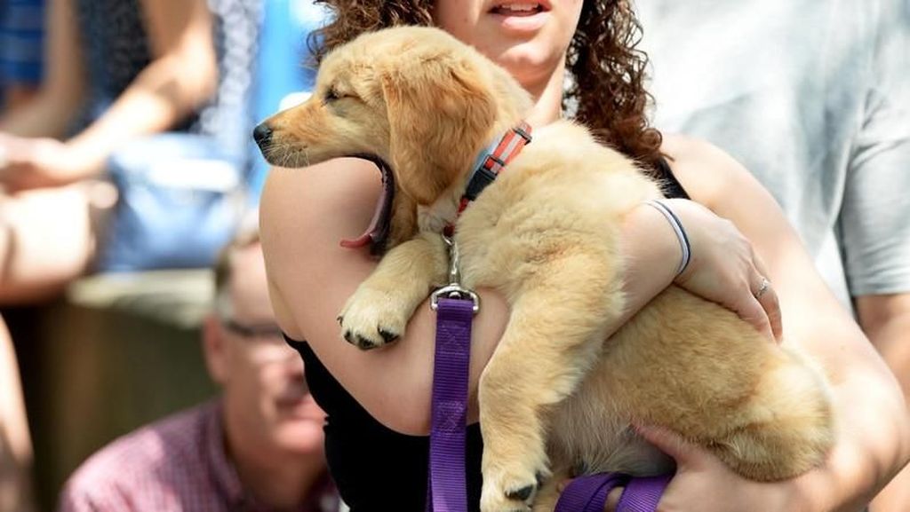Potret Lucu Ketika Hewan Menguap Potret Lucu Ketika Hewan Menguap