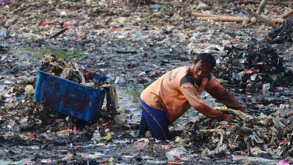 Potret Kerja Keras Petugas Bersihkan Lautan Sampah di Teluk Jakarta