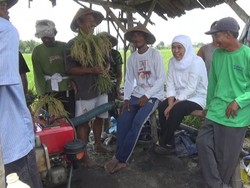 Dicurhati Petani Jombang, Khofifah Langsung Telepon Mentan