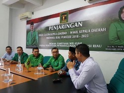 PPP Bidik Kursi DPR dari Riau