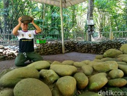 Angkat Batu di Ciamis Ini Mitosnya Bikin Sukses