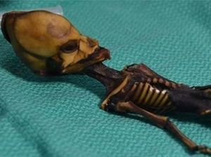 Peneliti Ungkap Misteri Mumi yang Diduga Jenazah Alien