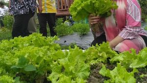 Ini 10 Foto Titiek Soeharto Saat Makan Bersama Keluarga hingga Panen Sayur