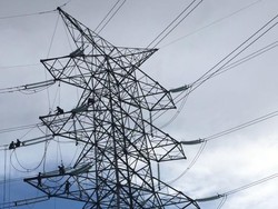 Kalimantan Punya Pabrik Listrik dari Limbah