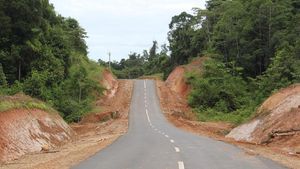 Jalan Perbatasan Papua 1.098 Km Dibangun Tembus Hutan dan Bukit