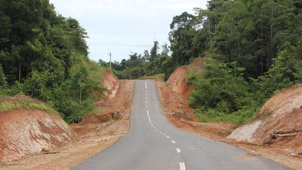 Jalan Perbatasan Papua 1.098 Km Dibangun Tembus Hutan dan Bukit