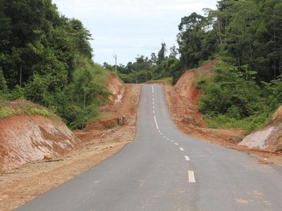 Jalan Perbatasan Papua 1.098 Km Dibangun Tembus Hutan dan Bukit