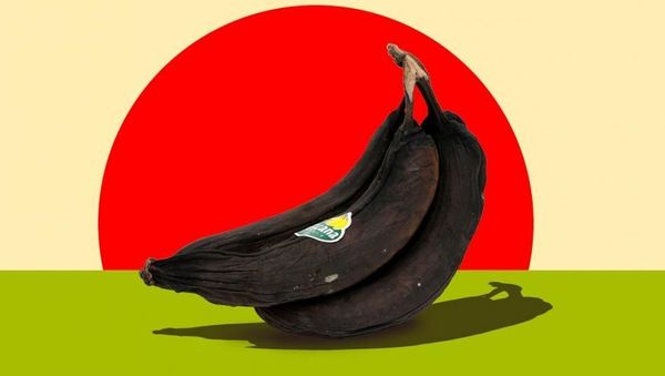 Ketika Makanan Busuk Jadi Karya Foto yang Indah