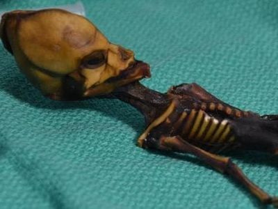 Penampakan Mumi Alien Misterius di Chile