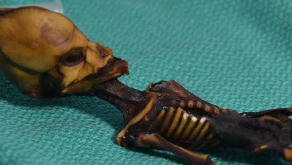 10 Penemuan Arkeologi Paling Aneh, Bikin Overthinking