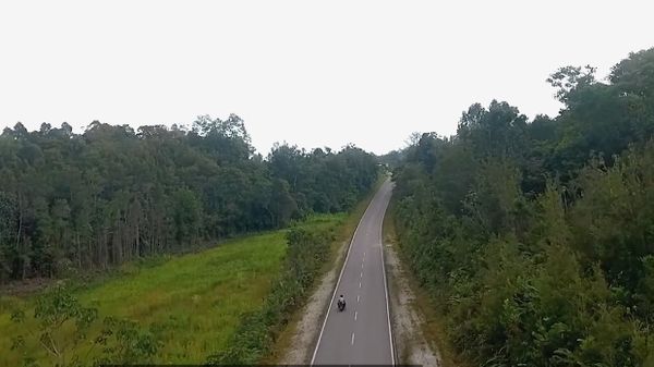 Jalan Perbatasan di Kalimantan, Dulu Rusak Sekarang Mulus