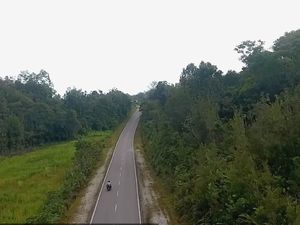 Jalan Perbatasan di Kalimantan, Dulu Rusak Sekarang Mulus Jalan Perbatasan di Kalimantan, Dulu Rusak Sekarang Mulus
