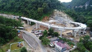 Keren Banget! Jalan Layang Ini Dibangun Meliuk di Antara Hutan