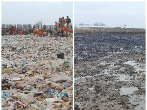 Before After Sepekan Usai Teluk Jakarta Jadi Lautan Sampah