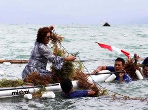 Cerita Susi Dilarang Anak Makan Sup Sirip Ikan Hiu Cerita Susi Dilarang Anak Makan Sup Sirip Ikan Hiu