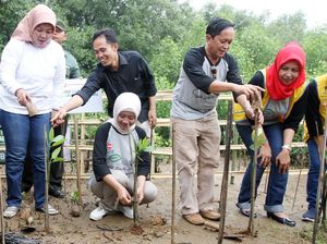 Penanaman Pohon Mangrove di Pantai Marunda