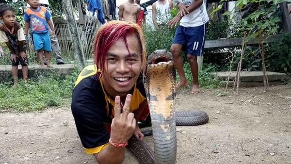 Ini Edy, Sang Penakluk King Cobra Raksasa dari Kalimantan