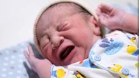 Bayi Ini Lebih Mirip Zaskia Mecca atau Hanung Bramantyo Ya?
