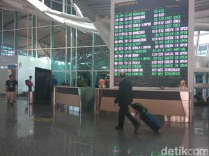 Marah-marah, Turis Inggris Tampar Petugas Imigrasi di Ngurah Rai Marah-marah, Turis Inggris Tampar Petugas Imigrasi di Ngurah Rai