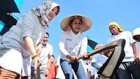Pakai Topi Petani, Rini Cangkul Tanah di Klaten