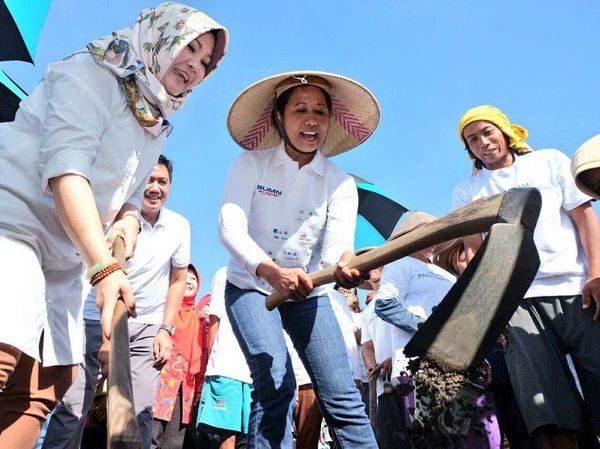 Pakai Topi Petani, Rini Cangkul Tanah di Klaten