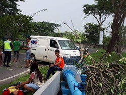 Mobil Ini Tabrak Pohon Kamboja Setelah Hindari Bayangan Menyeberang